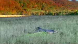 Задник до фильму"Будинок літаючих кинджалів" #809658