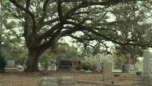 Задник до фильму"Хелловін" #640232