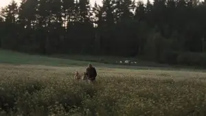 Задник до фильму"Дзеркало" #751479