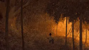 Задник до фильму"Червона черепаха" #211950