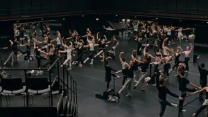 Задник до фильму"Чорний лебідь" #595708