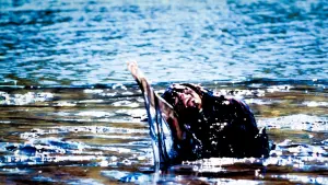 Задник до фильму"Калейдоскоп жахів 2" #296188