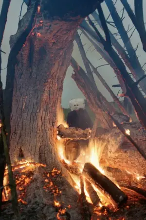 Постер до фильму"" #544040