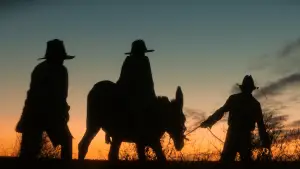 Задник до фильму"Wolfram" #787390