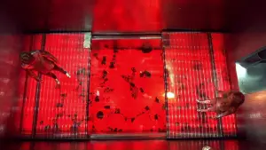 Задник до фильму"Остін Паверс: Шпигун, який мене звабив" #691339