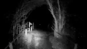 Задник до фильму"" #540189