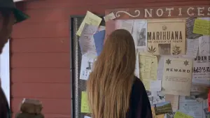 Задник до фильму"" #441285