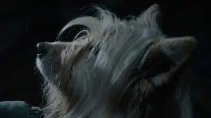 Задник до фильму"Ultimo schiaffo" #787972