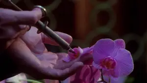 Задник до фильму"Секретарка" #718488