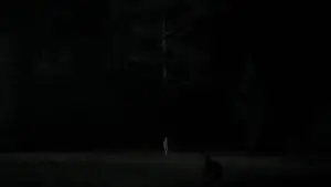 Задник до фильму"Відьма" #600173