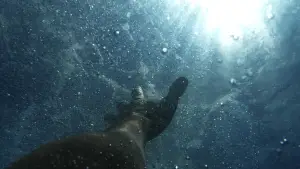 Задник до фильму"" #692235