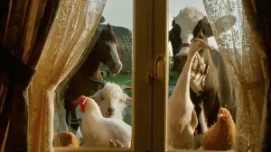 Задник до фильму"Бейб" #719882