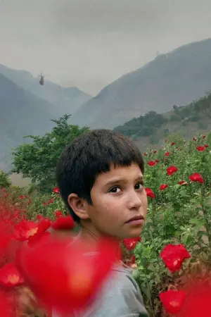 Молитви за викрадених