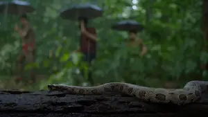 Задник до фильму"സംഭവം അദ്ധ്യായം ഒന്ന്" #772001