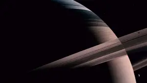 Задник до фильму"Древо життя" #723944