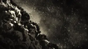 Задник до фильму"" #476413