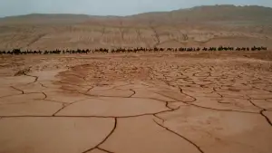 Задник до фильму"Тигр підкрадається, дракон ховається" #633595