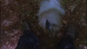 Задник до фильму"П’ятниця 13-те: Частина 2" #665857