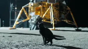 Задник до фильму"Забери мене на місяць" #581082