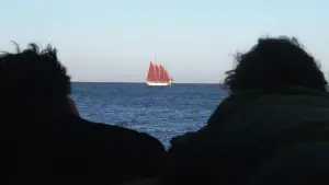 Задник до фильму"Вроджена вада" #704158