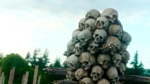 Задник до фильму"" #520614