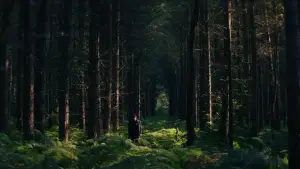 Задник до фильму"" #522114