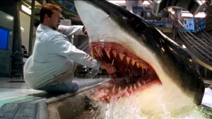 Задник до фильму"Глибоке синє море" #683481