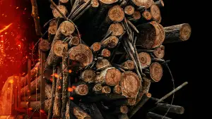 Задник до фильму"Пункт призначення 6" #547903