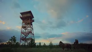 Задник до фильму"Потяг у снах" #514862