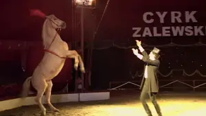 Задник до фильму"Внутрішня імперія" #713681