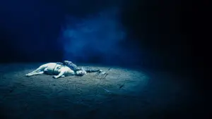 Задник до фильму"一匹白馬的熱夢" #914809