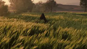 Задник до фильму"Царство небесне" #618696