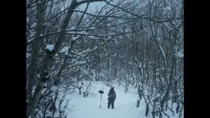 Задник до фильму"Valle Blanco, Gallo Negro" #845165
