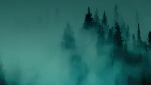 Задник до фильму"Hunting Matthew Nichols" #775398