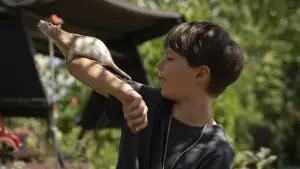 Задник до фильму"" #543695