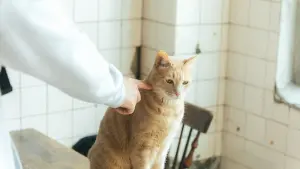 Задник до фильму"" #449171