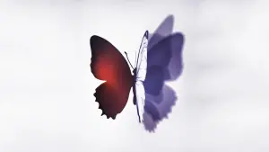 Задник до фильму"" #446010