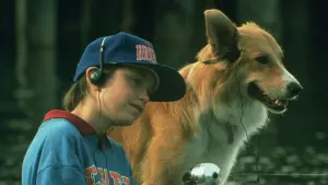 Задник до фильму"Бінго" #461195