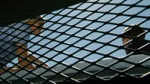 Задник до фильму"Проект Х: Дорвались-Відірвались" #663973