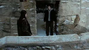 Задник до фильму"Гаррі Поттер і келих вогню" #802006