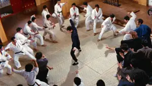 Задник до фильму"Шалений кулак" #801822