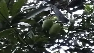 Задник до фильму"" #460198