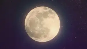 Задник до фильму"Леді Баг i Супер-Кіт: Шанхай – Легенда про Леді Дракон" #752498