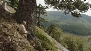 Відео до фільму Діра | ДІРА З 23 БЕРЕЗНЯ 2023 / IL BUCO, офіційний український трейлер, 2023