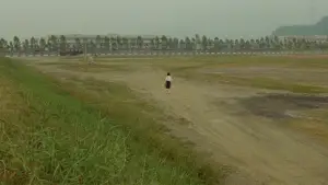 Задник до фильму"Яскравий літній день" #711913