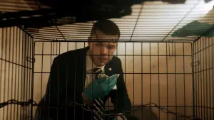 Задник до фильму"Райське шосе" #375654