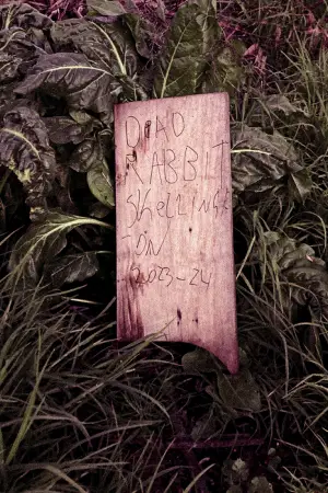 Постер до фильму"Dead Rabbit Skellington" #755603