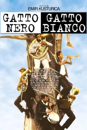 Постер до фильму"Чорна кішка, білий кіт" #411074