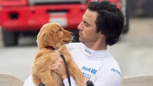 Задник до фильму"Очима собаки" #175812