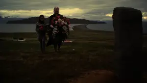 Задник до фильму"" #656300